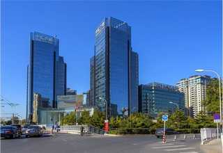 玫烟色棒束孢菌株