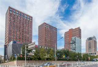 河南有什么乐高花束包装