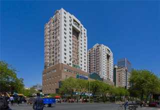 铜仁龙牌防裂防松石膏板报价